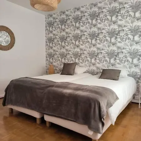 Apartament Centre-ville